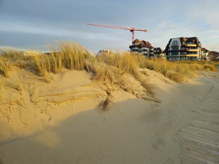 Oostnieuwkerke duinen wandeling in de koude (België)